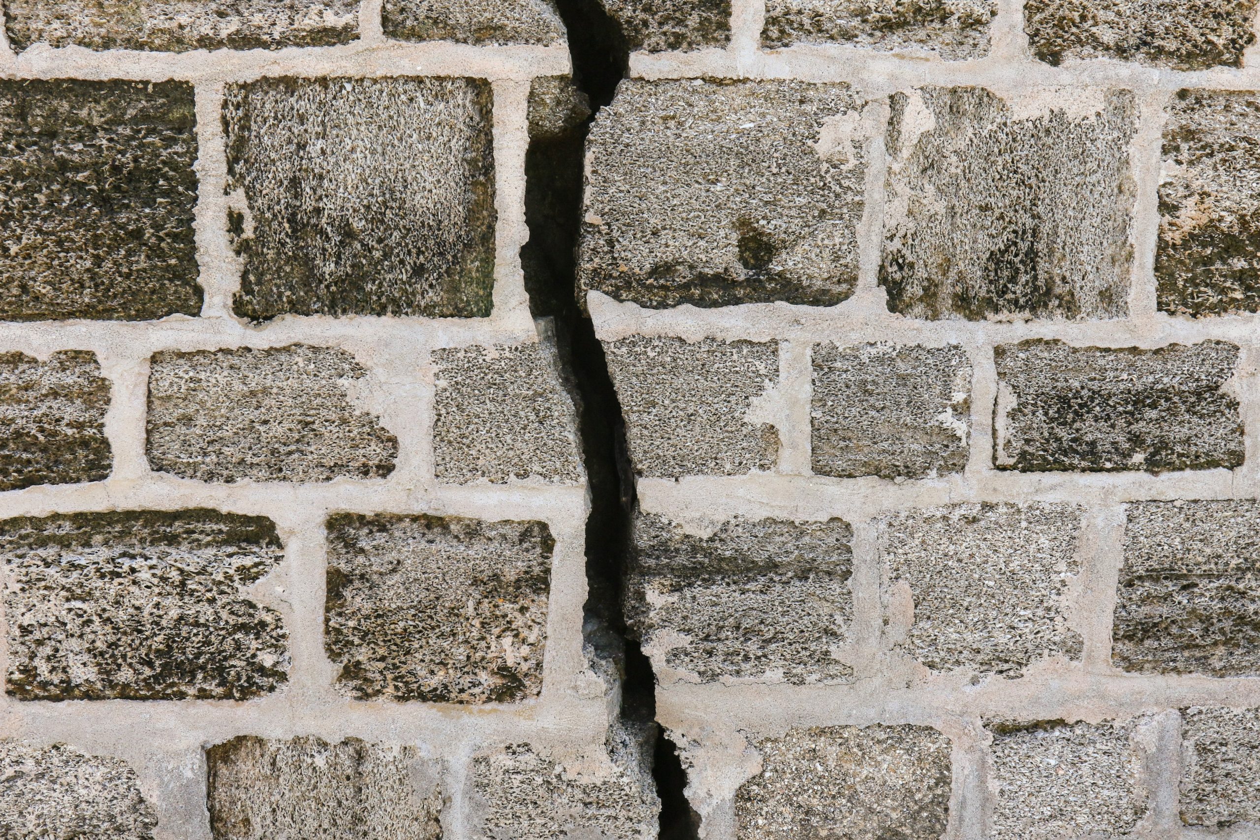 mick-haupt-7Kv1Elbagcc-unsplash mick-haupt-7Kv1Elbagcc-unsplash